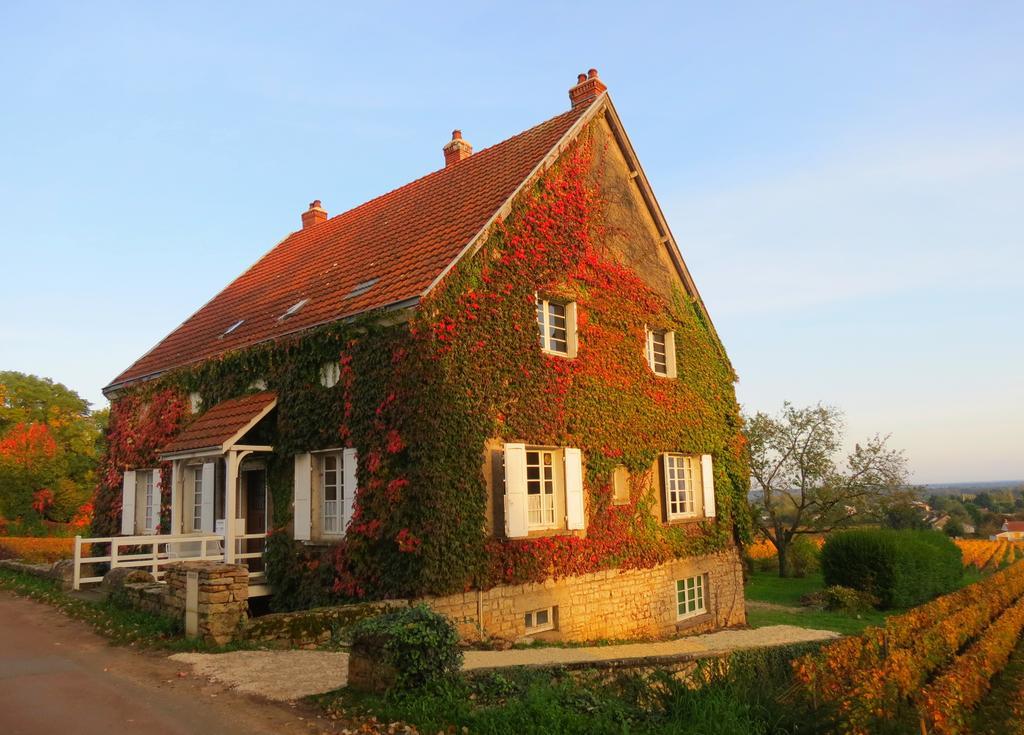 La Passerelle Des Corton B&B Aloxe-Corton Dış mekan fotoğraf
