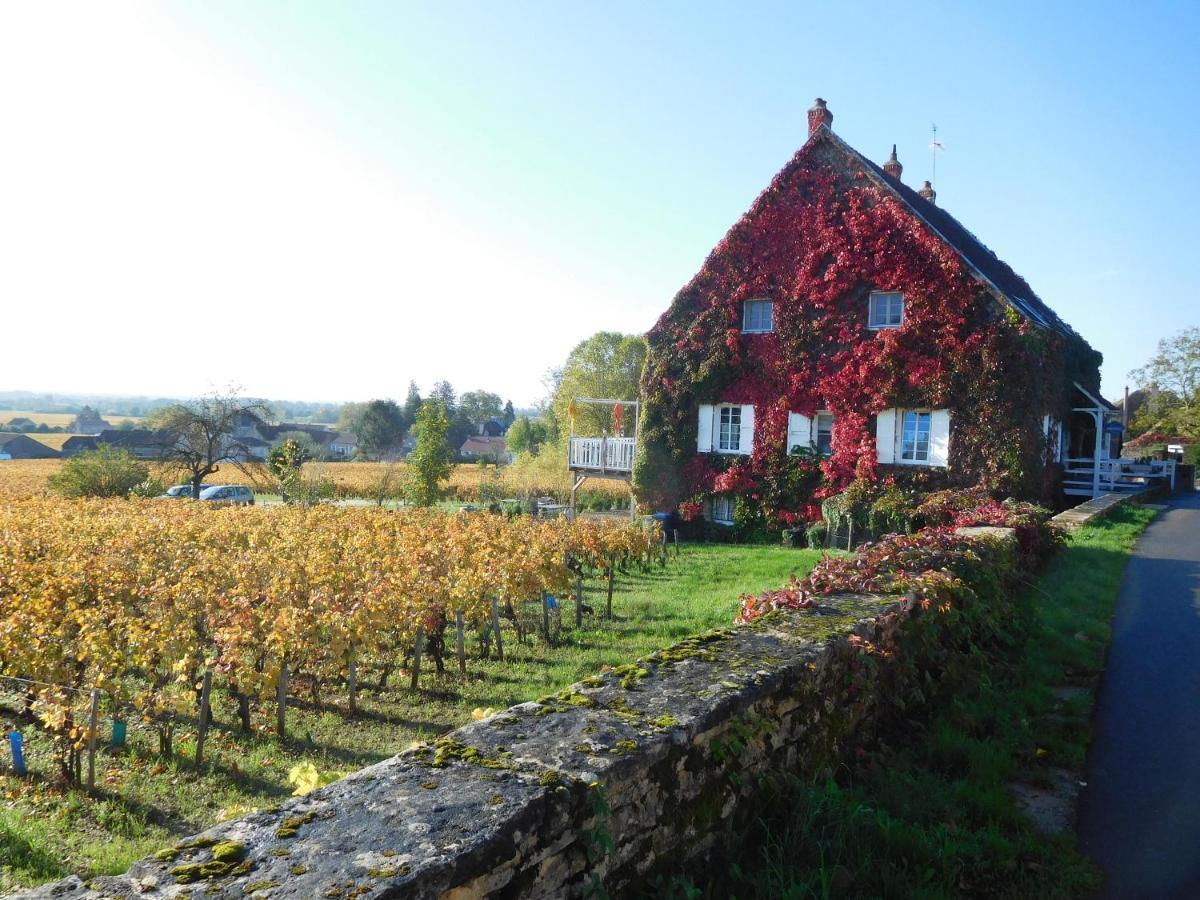 La Passerelle Des Corton B&B Aloxe-Corton Dış mekan fotoğraf